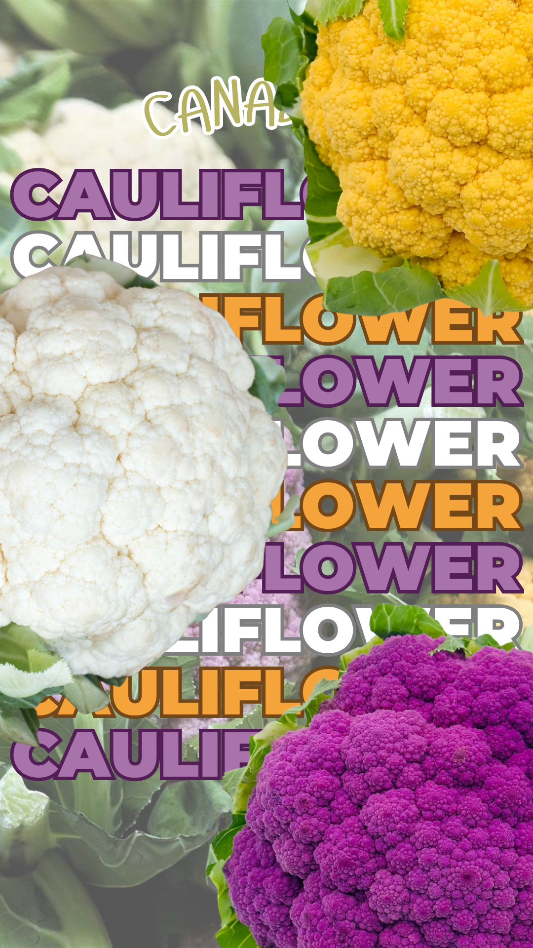 Cauliflower Season