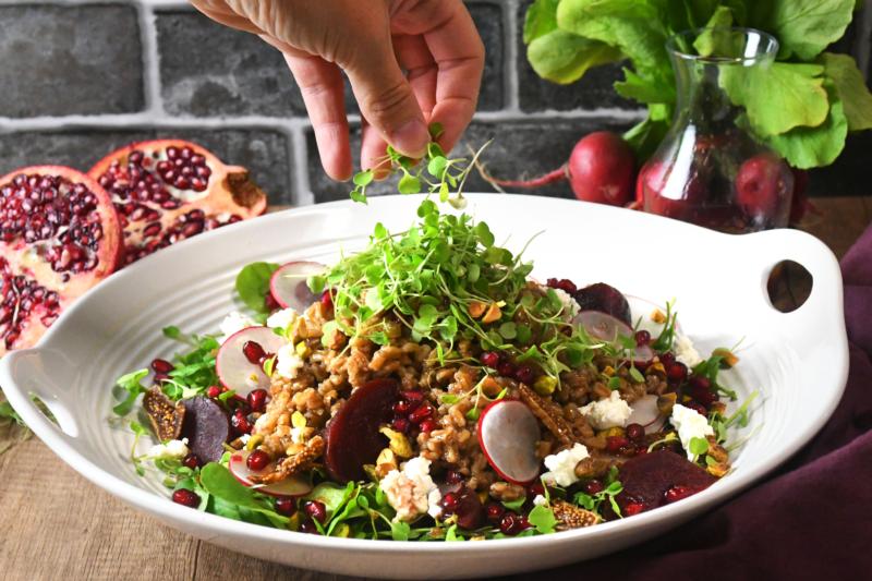 Warm Farro Salad with Fig-Pomegranate Vinaigrette